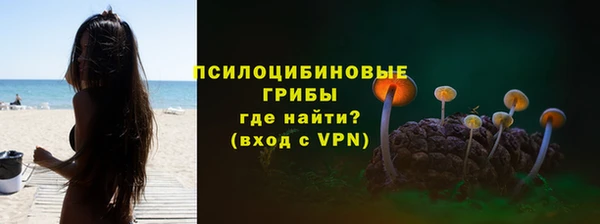 PSILOCYBIN Бородино