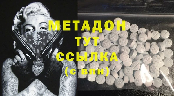 PSILOCYBIN Бородино