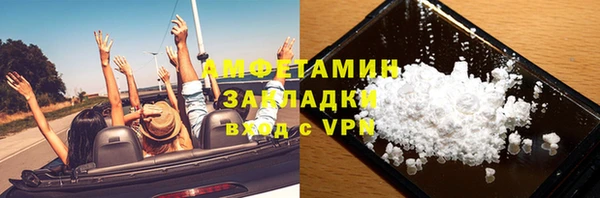 PSILOCYBIN Бородино